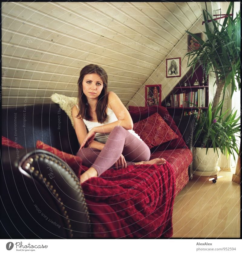 couchsurferin im heimathafen Wohnung Wohnzimmer Penthouse Junge Frau Jugendliche Barfuß 18-30 Jahre Erwachsene Topfpflanze Leggings Unterhemd brünett langhaarig