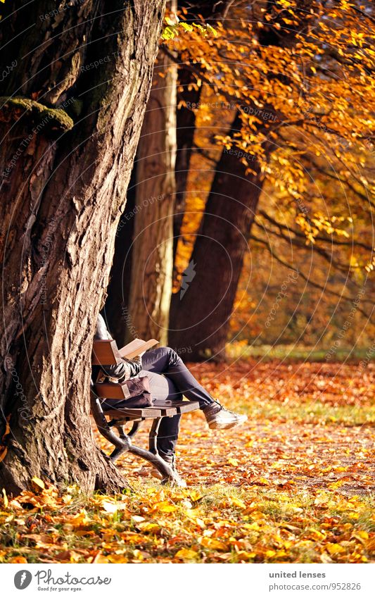 AK# Herbstbuch Kunst ästhetisch Zufriedenheit herbstlich Herbstlaub Herbstfärbung Herbstbeginn Herbstwetter Herbstwald Herbstlandschaft Romantik verträumt