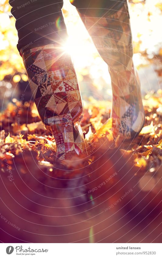 AK# Herbstmode Umwelt Natur Landschaft Pflanze ästhetisch Zufriedenheit Spaziergang laufen schreiten Gummistiefel herbstlich Herbstlaub Herbstfärbung