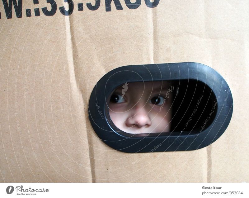 Junge guckt aus Kiste maskulin Kind Haut Kopf Gesicht Auge Nase Augenbraue 1 Mensch 3-8 Jahre Kindheit Paket Verpackung Schriftzeichen beobachten