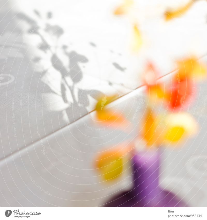 Entfaltungsmöglichkeiten | Bügelfalte Dekoration & Verzierung Blume Blüte Blühend einzigartig Leichtigkeit skurril Häusliches Leben Tischwäsche Blumenvase
