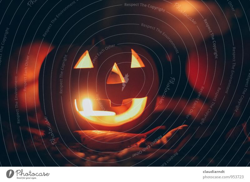 Kürbi Halloween Herbst leuchten Kürbis Teelicht Kerze Lampion Maske gruselig Kopf Farbfoto Außenaufnahme Detailaufnahme Menschenleer Nacht Licht