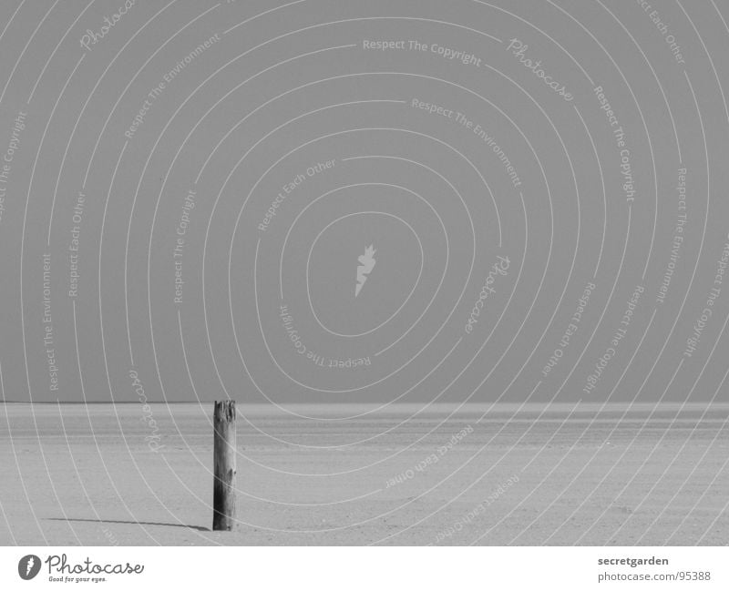 einsamkeit Horizont Strand Menschenleer ruhig Nordseestrand Einsamkeit Ferne Außenaufnahme Schwarzweißfoto Kurzzeitbelichtung Sommer Schatten Erholung Küste