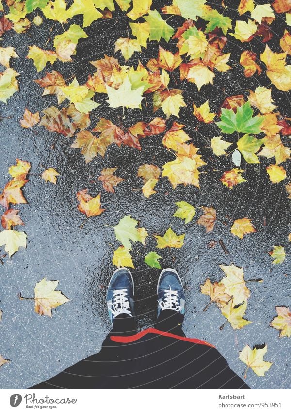 Dienstags: Regen Gesundheit Freizeit & Hobby Freiheit wandern Sportler Joggen Mensch Unterleib 1 Natur Herbst Wetter schlechtes Wetter Blatt Ahorn Ahornblatt