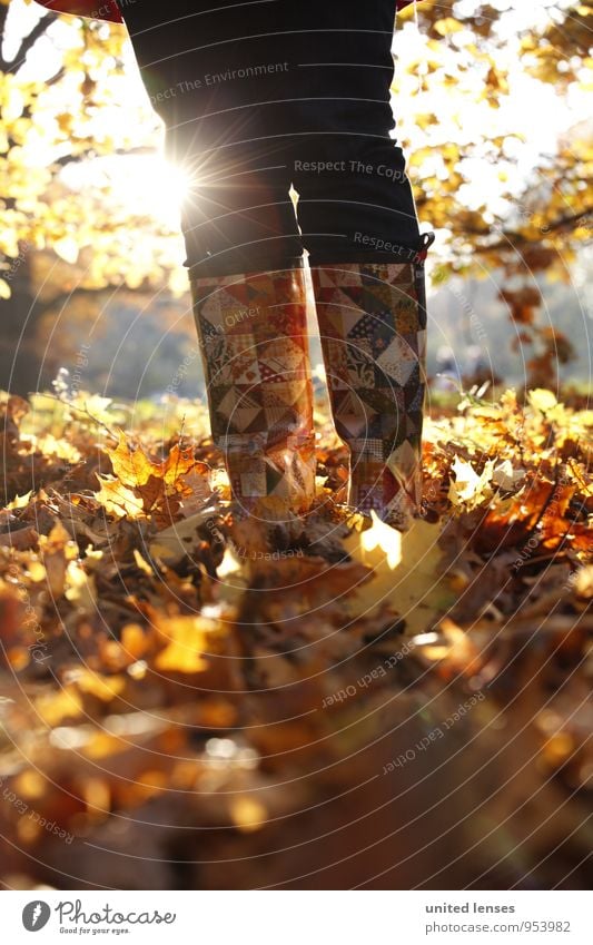AK# Sonnenstiefel Kunst Umwelt Natur Landschaft Pflanze ästhetisch Zufriedenheit Mode Herbst Herbstlaub Herbstfärbung Herbstbeginn Herbstwetter Herbstwald