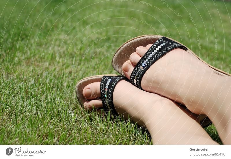 "Ich will 'nen Sommer nur für mich!" Haut Sonnenbad Frau Erwachsene Beine Fuß Gras Wiese Schuhe Damenschuhe glänzend liegen Sandale Zehen Fußknöchel Farbfoto