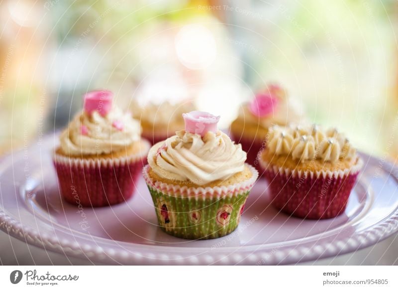 Cupcakes Teigwaren Backwaren Dessert Süßwaren Ernährung Picknick Fingerfood lecker süß Farbfoto Innenaufnahme Menschenleer Tag Schwache Tiefenschärfe