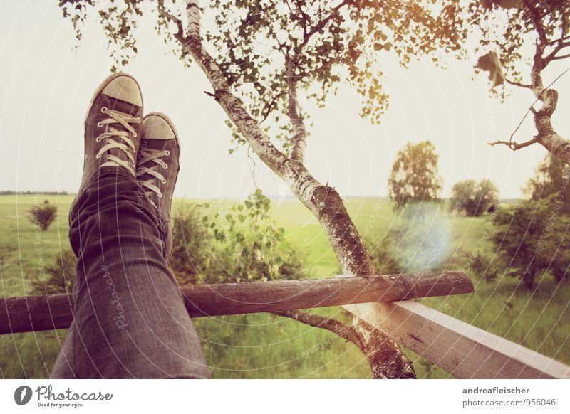 Entspannung pur Zufriedenheit Erholung ruhig Natur Landschaft Sonne Sommer Baum Sträucher Wiese Feld Leben Lebensfreude Leichtigkeit Birke Chucks Jeanshose