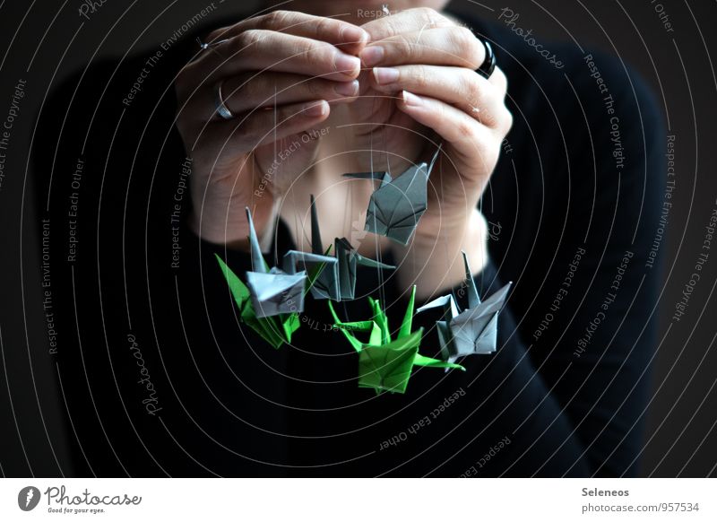 Kraniche Freizeit & Hobby Basteln Handarbeit Origami Arme Finger 1 Mensch Ring festhalten Zufriedenheit Genauigkeit Präzision Farbfoto Innenaufnahme Licht