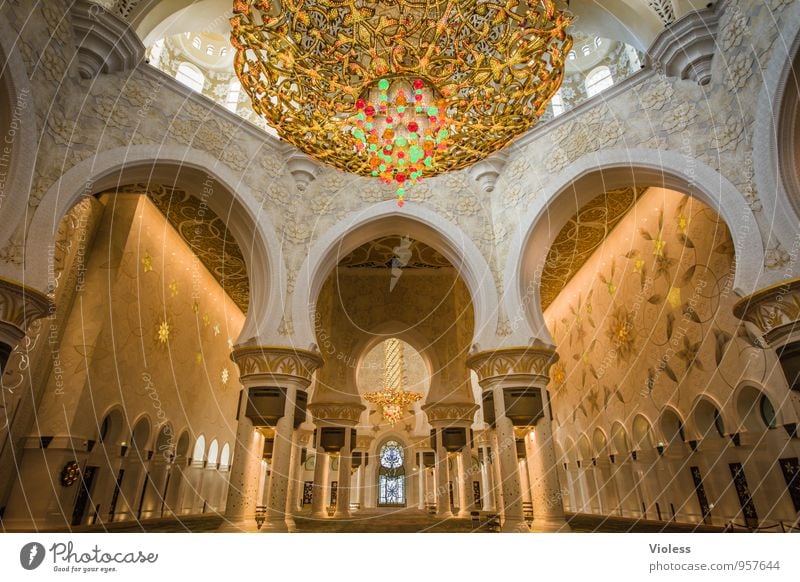 Scheich-Zayid-Moschee Abu Dhabi Vereinigte Arabische Emirate Sakralbauwerk Kronleuchter Säulen islam Sehenswürdigkeit Macht Schutz Religion & Glaube