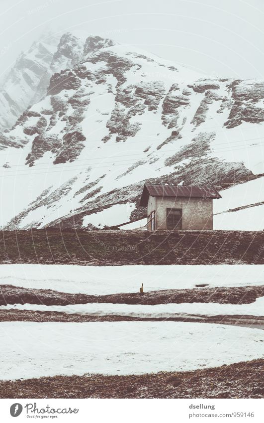 hochgelegen. Umwelt Natur Landschaft Nebel Schnee Schneefall Wiese Alpen Berge u. Gebirge Schneebedeckte Gipfel Südtirol Haus Hütte authentisch frisch kalt
