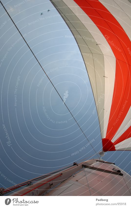 Sail and Fly Segeln Wassersport Luft Flugzeug Abenteuer segeln auf dem ijsselmeer gennaker bunte segel hohe geschwindigkeit gutes gefühl Wind