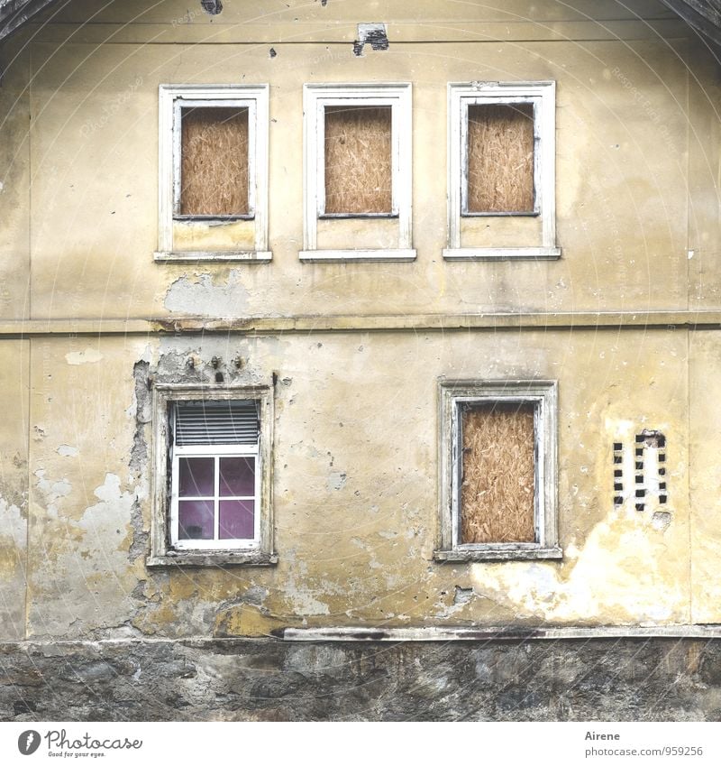 Der Individualist Haus Ruine Gebäude Mauer Wand Fassade Fenster Häusliches Leben alt außergewöhnlich dunkel hässlich kaputt trist grau violett Entschlossenheit