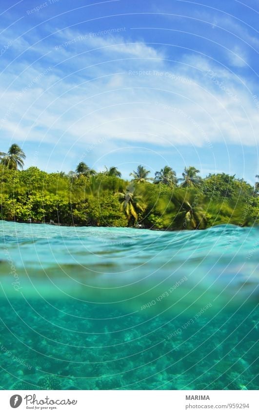 Underwater World Maldives, island and heaven exotisch ruhig Ferien & Urlaub & Reisen Tourismus Meer Insel tauchen Umwelt Natur Tier Wasser Riff Korallenriff