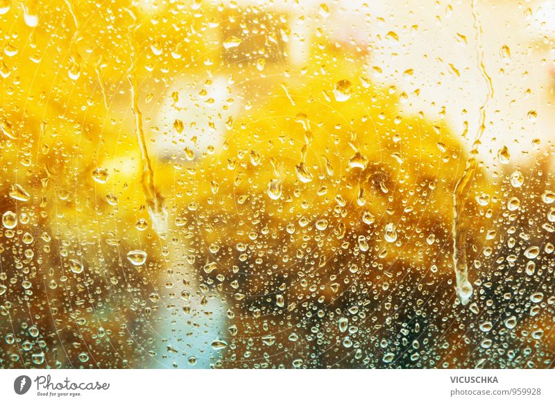 Herbstliches Glasfenster mit Regentropfen Lifestyle Design Häusliches Leben Wohnung Haus Garten Natur Wasser Wassertropfen gelb autumn Fenster Regenwasser