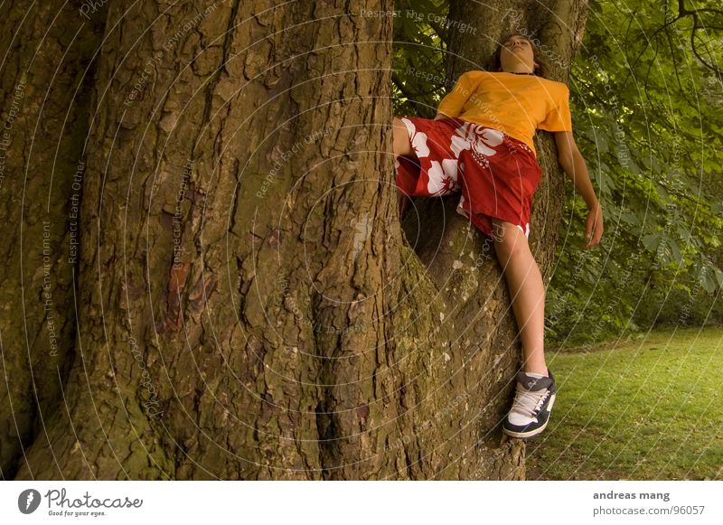 Fertig mit der Welt Erholung ruhen ruhig Baum Park Wald Sträucher genießen Wiese Waldlichtung grün rot kaputt fertig Jugendliche boy silent chilling relaxing