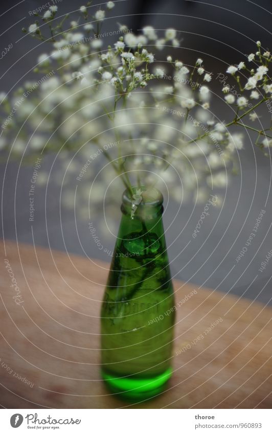 Flaschengrün Vase Glas Holztisch Schleierkraut Grünpflanze Dekoration & Verzierung Blüte weiß grau Stimmung Recycling Altglas Farbfoto Außenaufnahme Nahaufnahme
