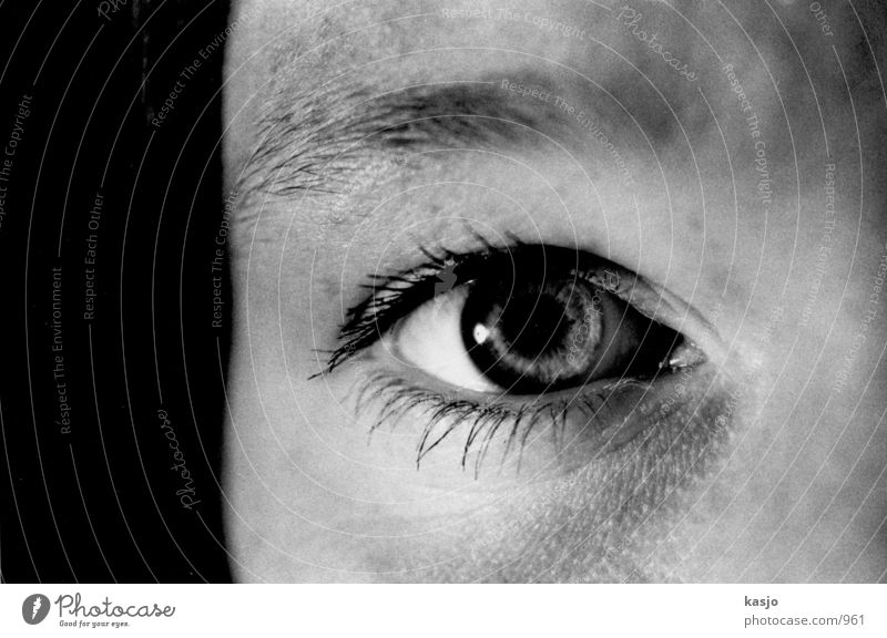 Katrin Augen feminin Frau Detailaufnahme Schwarzweißfoto Kopf