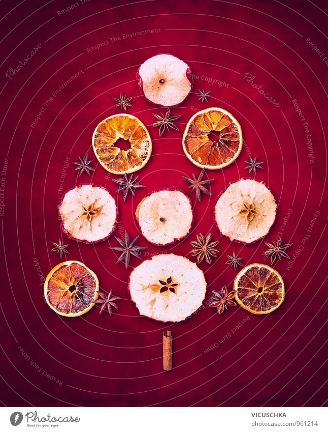 Weihnachtsbaum ausTrockenen Winter Früchte Lebensmittel Frucht Design Freizeit & Hobby Weihnachten & Advent Natur Tradition trocken Kräuter & Gewürze