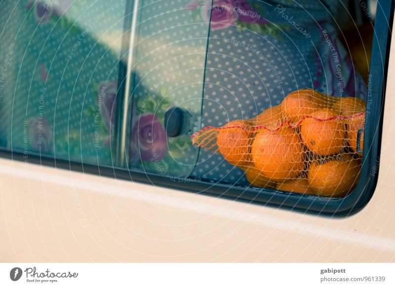 frisches Obst braucht frische Luft Gesundheit Leben Wohlgefühl Zufriedenheit Duft Sommer Sommerurlaub Fröhlichkeit positiv orange exotisch Farbe