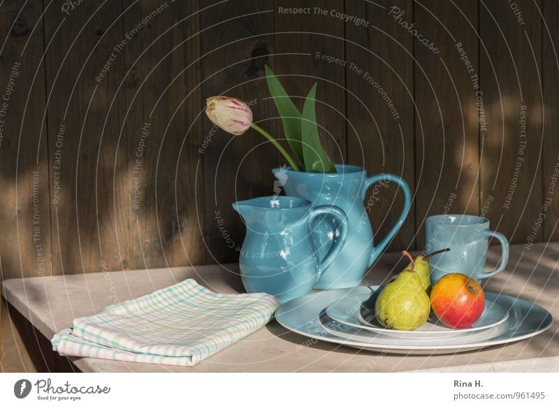 ObstStill mit Tulpe Frucht Geschirr Teller Becher Schönes Wetter blau Vase Küchenhandtücher Apfel Birne Farbfoto Außenaufnahme Menschenleer Textfreiraum links