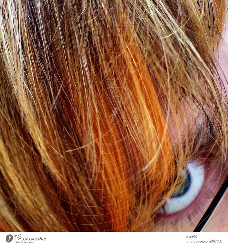 ich. blond Brille Wimpern Haarsträhne Frau rot falsch Blick Haare & Frisuren Mensch orange Auge gefärbte haare ungeschminkt strähnchen Farbe gestellt beobachten