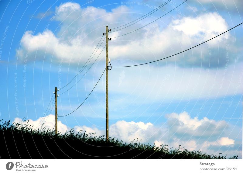 des Vogels Parkbank Elektrizität Wiese Wolken Luft Himmel Leitung Strommast blau Erde Verbindung Bodenbelag