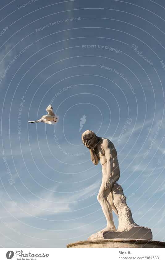 Kain Kunstwerk Skulptur Himmel Schönes Wetter Paris fliegen Bekanntheit Traurigkeit Schmerz Verbitterung Aggression Gewalt Hass Scham Religion & Glaube Möwe