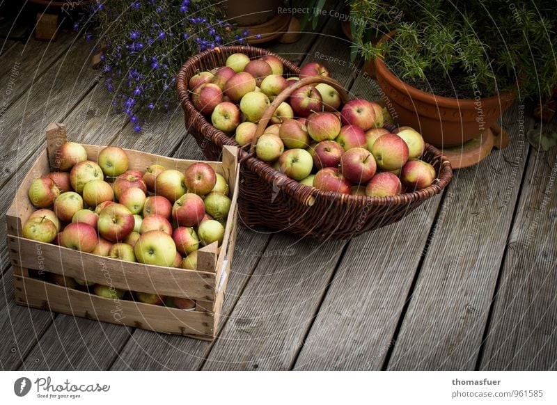 Äpfel Frucht Apfel Bioprodukte Vegetarische Ernährung Diät Garten genießen nachhaltig Korb saftig Kiste Außenaufnahme Detailaufnahme Tag Licht Schatten Kontrast