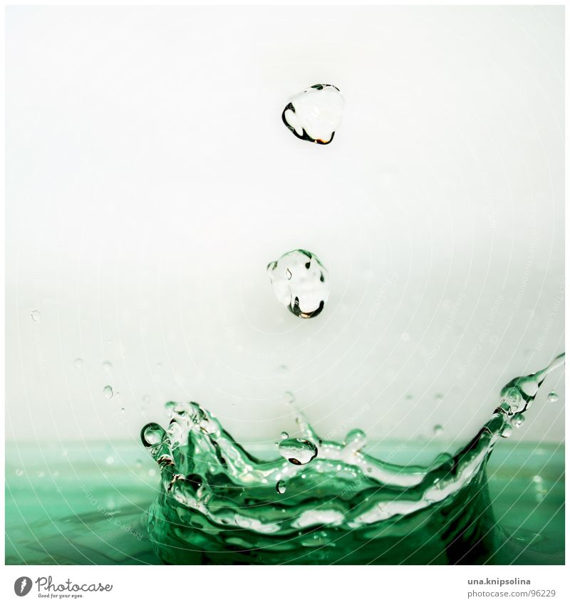 krönung Wasser Wassertropfen nass grün türkis spritzen Krönung Baumkrone Farbfoto Nahaufnahme Detailaufnahme