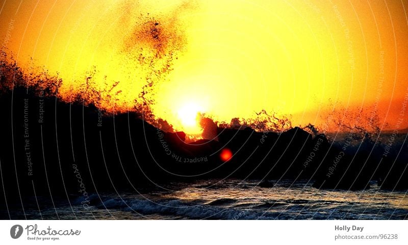 Wellen und Sonnenuntergang Meer Brandung Strand schwarz Sehnsucht Ferien & Urlaub & Reisen Los Angeles Sommer Küste Wasser Abend orange Felsen Venice Beach