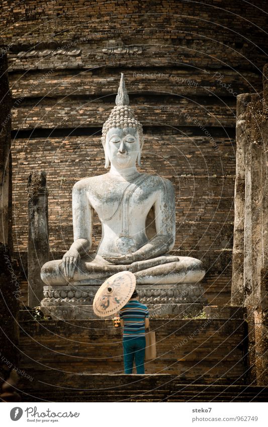 Ruhe Mann Erwachsene 1 Mensch Ruine Tempel Sehenswürdigkeit Religion & Glaube ruhig Verfall Vergangenheit Buddha Ayutthaya Thailand Gebet Wärme Sonnenschirm