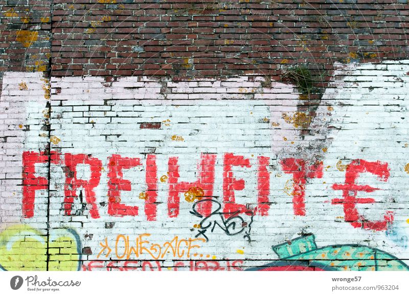 FREIHEIT € Graffiti Mauer Wand Schriftzeichen Eurozeichen mehrfarbig Backsteinwand Buchstaben rot Freiheit besprüht Farbstoff Farbfoto Außenaufnahme