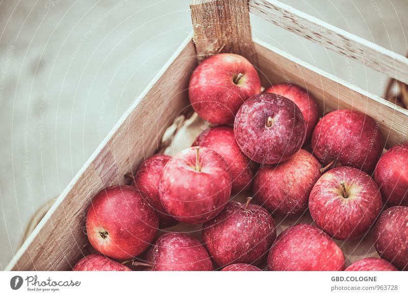 #21112014_0031 | Apfel Natur Herbst Nutzpflanze frisch Gesundheit lecker natürlich rot Ernährung Vegane Ernährung Vegetarische Ernährung Obstbaum Frucht