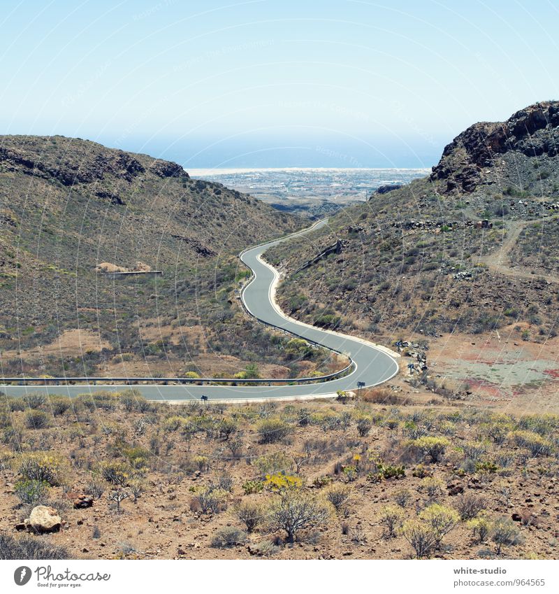 Serpentine bevölkert ästhetisch Straßenbelag Serpentinen Kurve Schlucht Meer Meeresstraße Sträucher karg Landschaft Gran Canaria Kurvenlage Sinus Sommer