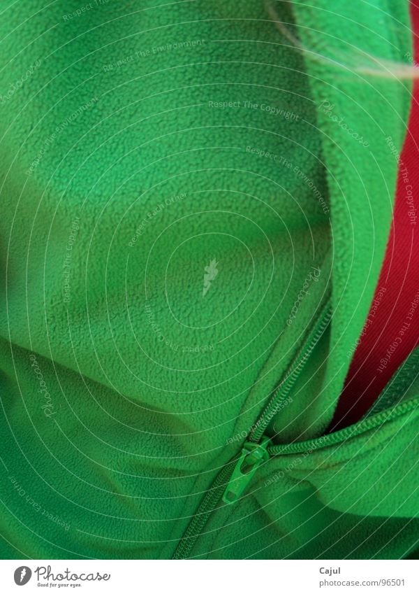 Einblick Jacke Pullover Physik grün rot Sommer Haarsträhne Gedanke Erinnerung Bremen Park Baum Flies Farbe Reiscerschlusss Wärme Blick T-Shirt Haare & Frisuren