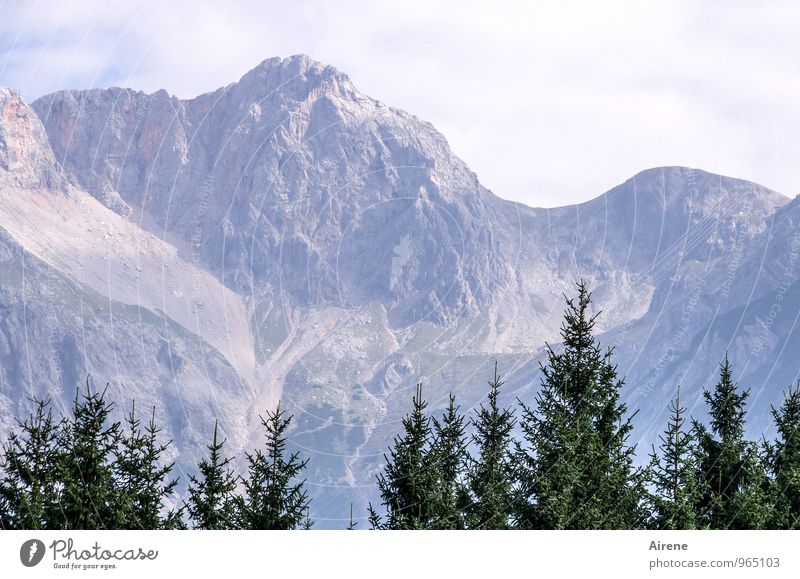Baumgrenze Landschaft Himmel Pflanze Nadelbaum Tanne Fichte Wald Alpen Berge u. Gebirge Steinernes Meer hochkönig Gipfel Bergwald blau grün Abenteuer Ferne