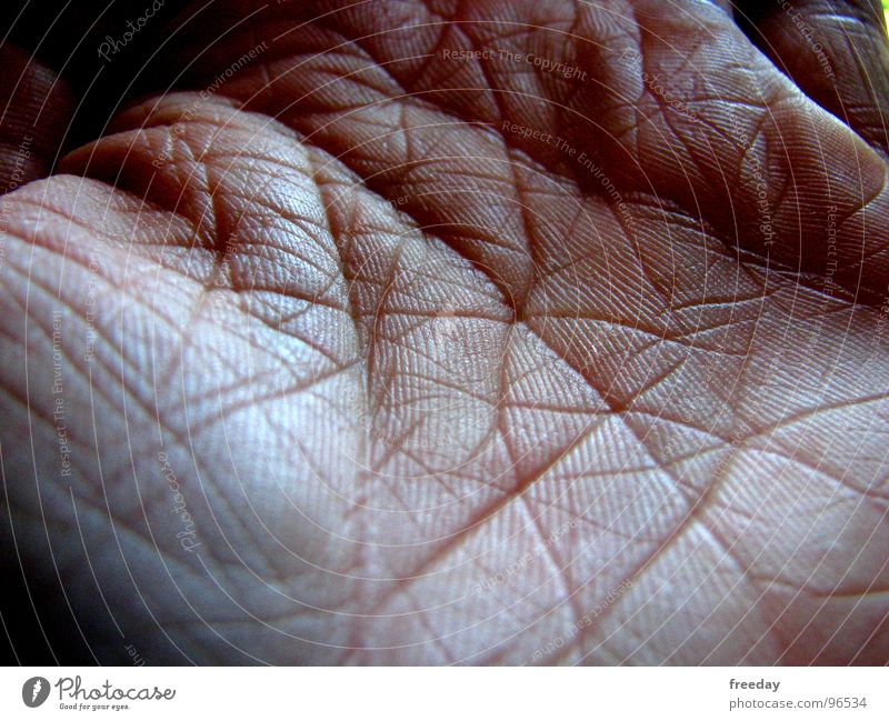 ::: Netzwerk ::: Hand Finger Strukturen & Formen Handfläche Hautfarbe Götter Spuren Handwerk sensibel Gesundheit berühren Muster lesen Senior Makroaufnahme