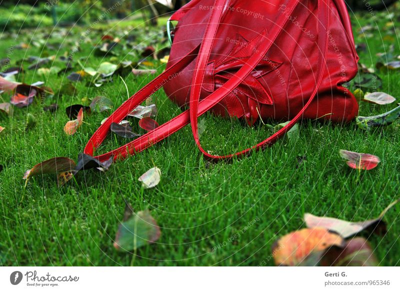 RasenSchmuck Handtasche Leder elegant Kitsch grün rot Stimmung Neugier Erwartung Farbe Vergänglichkeit herbstlich Herbstlaub altmodisch Damenmode Wiese Gras