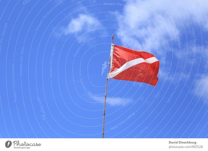 Flagge zeigen Ferien & Urlaub & Reisen Sommerurlaub Strand Zeichen Fahne blau rot weiß Brasilien Himmel (Jenseits) Wolken wehen Streifen Stoff Sicherheit Wind