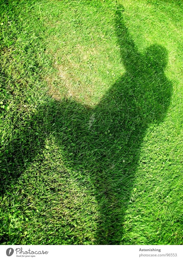 Der Schattenmann 2 Sommer Mensch maskulin Mann Erwachsene Arme Hand Beine 1 Umwelt Pflanze Wetter Schönes Wetter Gras Grünpflanze Wiese Bewegung hoch grün