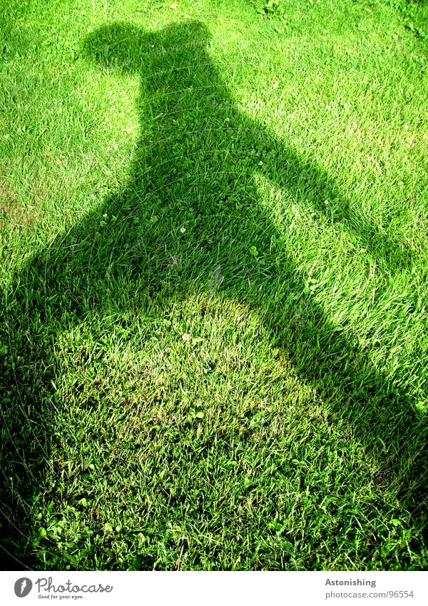 Der Schattenmann 3 Sommer Mensch maskulin Mann Erwachsene Arme Beine 1 Umwelt Wetter Schönes Wetter Pflanze Gras Grünpflanze Wiese Bewegung grün schwarz Rasen