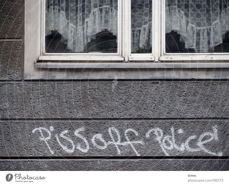 Gebrüll im Idyll Haus Dienstleistungsgewerbe Polizei Kunst Fenster Stein Graffiti grau weiß Ordnungsliebe Wut gereizt Feindseligkeit Frustration Verbitterung