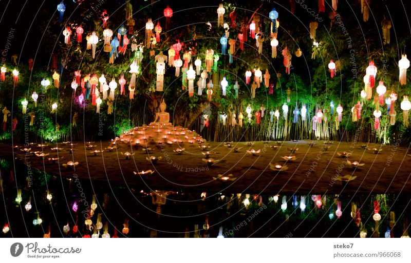 Lichterfest Dekoration & Verzierung Lampion mehrfarbig exotisch Gelassenheit Glück Religion & Glaube Tradition Buddhismus Kerzenschein Thailand Asien