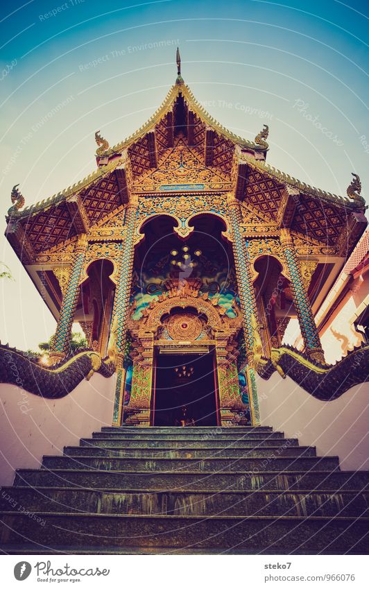 Temple of ... Chiangmai Tempel Treppe blau gold rosa entdecken Erotik Religion & Glaube Spiritualität Farbfoto Lomografie Menschenleer