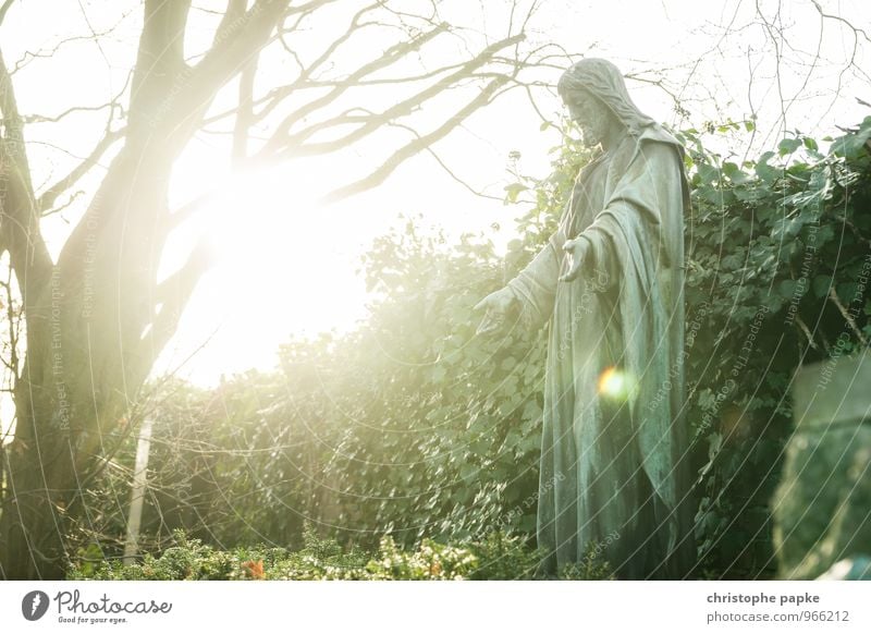 Am Anfang war das Licht maskulin Kunst Skulptur Sonnenlicht Baum Park Stein Zeichen leuchten hell Kraft trösten Hoffnung Glaube Religion & Glaube Tod Trauer