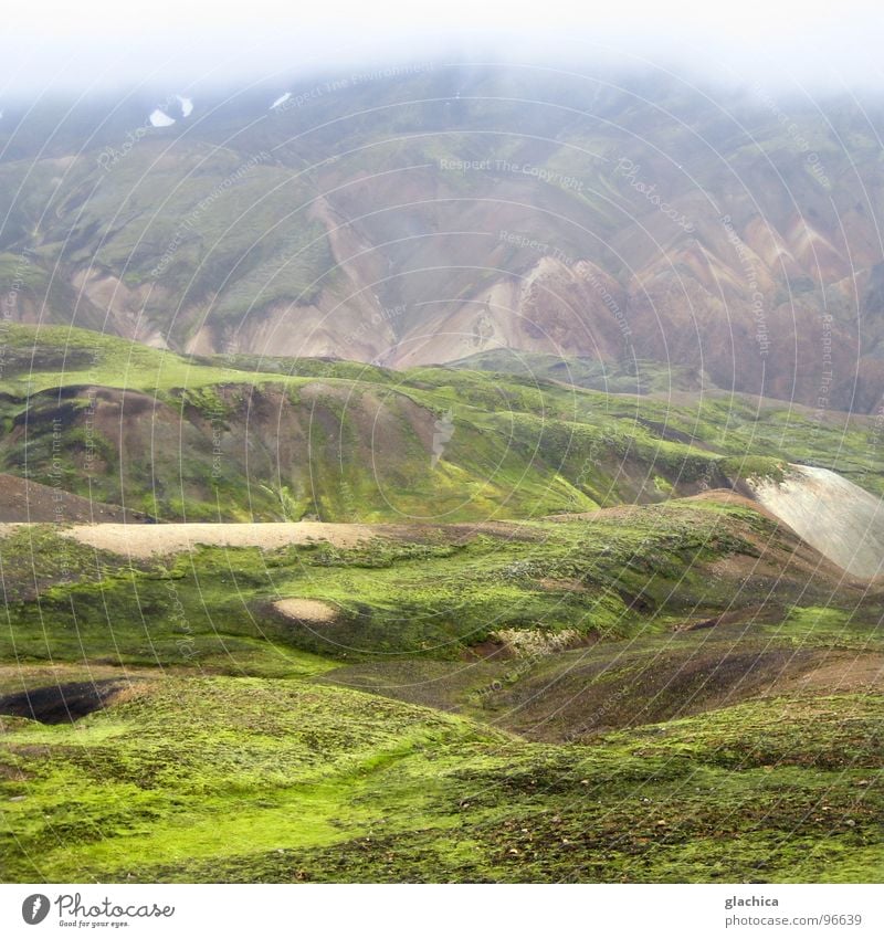 Landmannalaugar Island Europa kalt Regen Campingplatz schön Ödland nass grün Nebel braun Natur Landschaft Berge u. Gebirge karg Nieselwetter Wetter Bach Pflanze