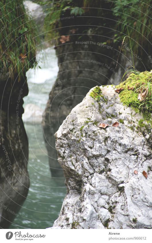 Felsspalterei Landschaft Urelemente Wasser Felsen Schlucht Bach Wildbach entdecken dünn grau grün schwarz türkis Platzangst Schlitz Gletscherspalte Zwang