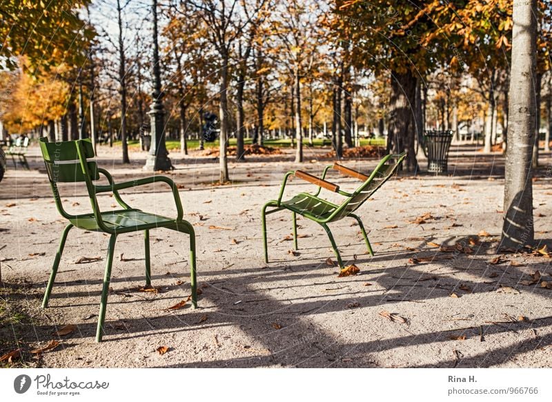 WartePosition Baum Garten Park Paris warten 2014 Tuileries Gartenstuhl Herbstlaub Farbfoto Außenaufnahme Menschenleer Licht Schatten Schwache Tiefenschärfe