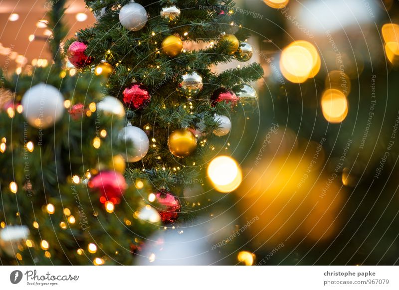 Season's Greeting II Feste & Feiern Weihnachten & Advent Baum Dekoration & Verzierung Kitsch Krimskrams leuchten Weihnachtsdekoration Weihnachtsbaum